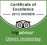 Wayanad Olives Resort Tripadvisor - Winner 2012